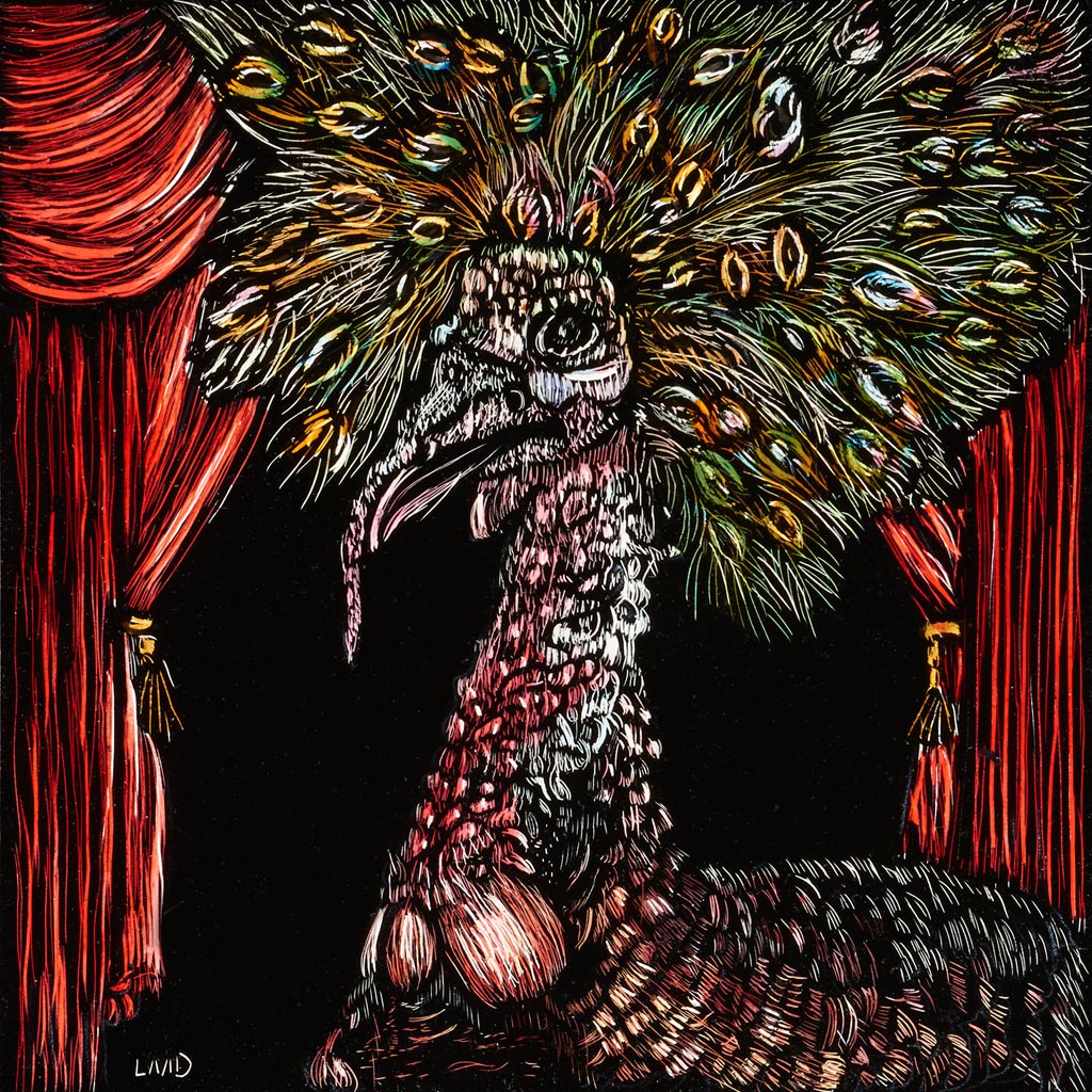 If I were a Peacock