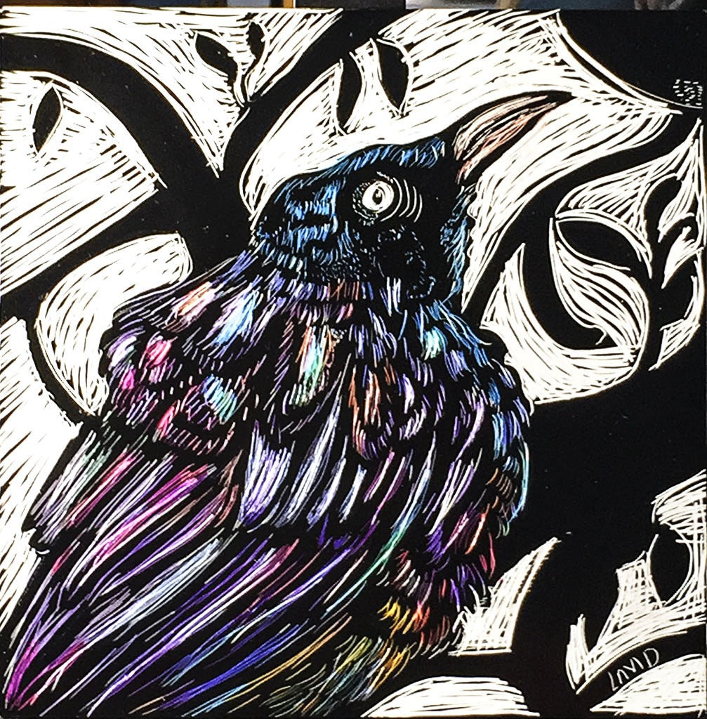 Corvus in Mauve