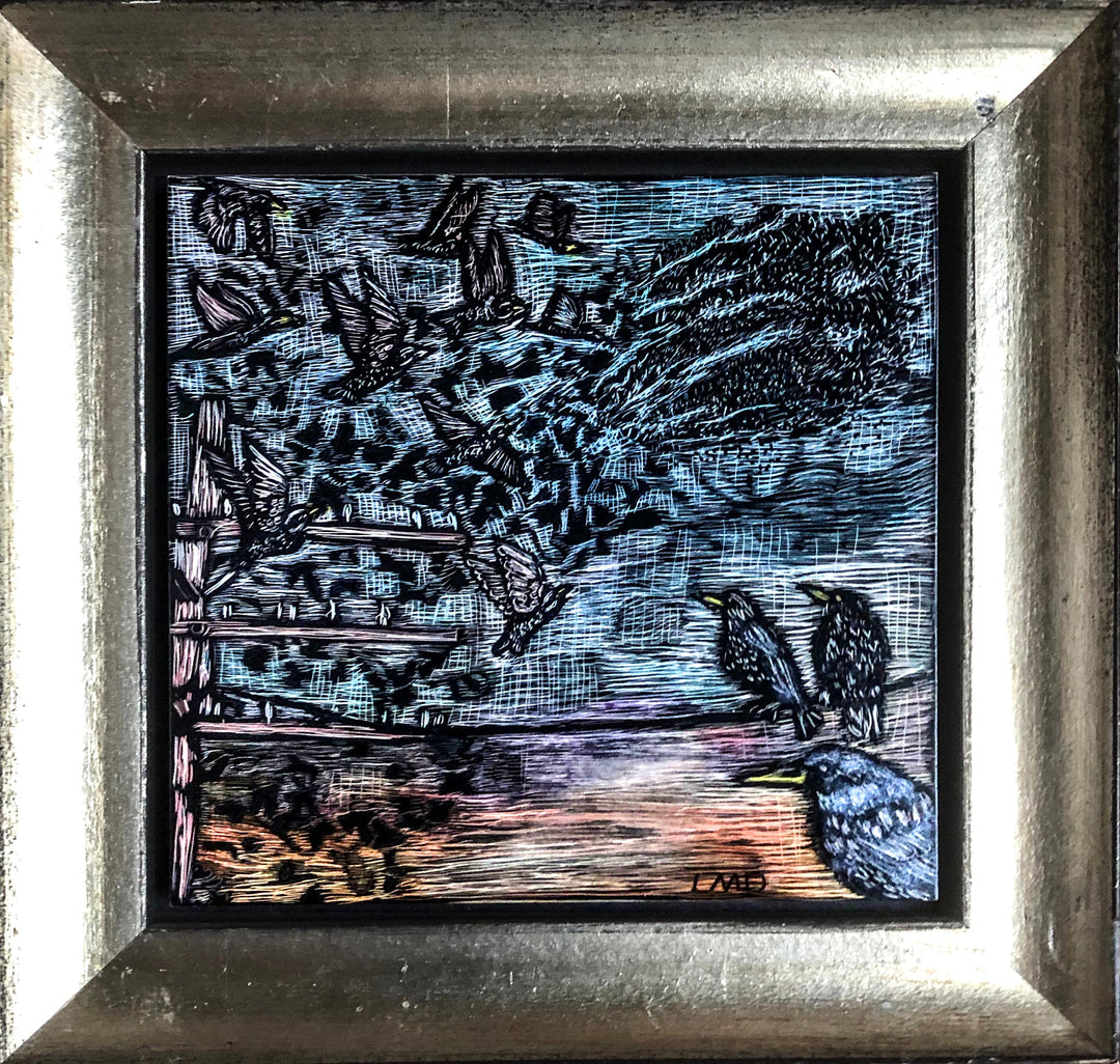 Murmurations
