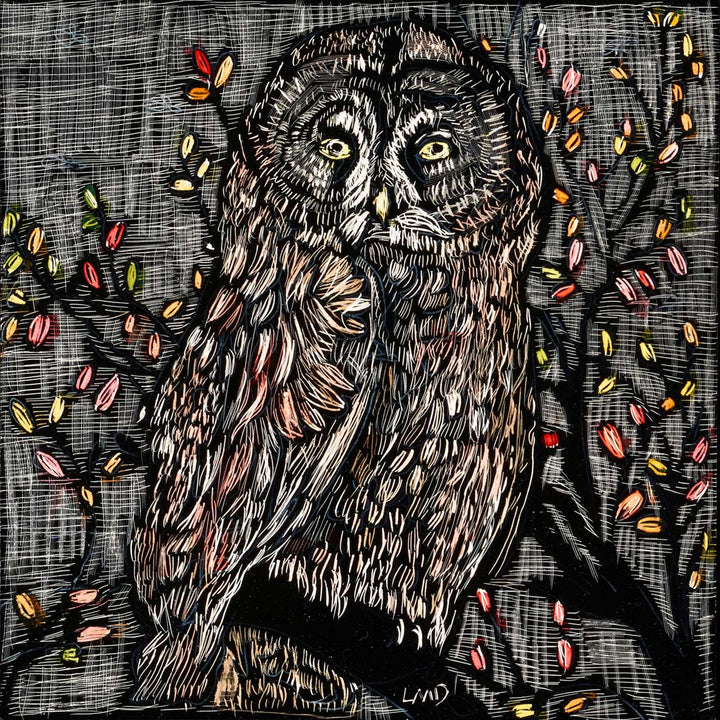 Fall Owl