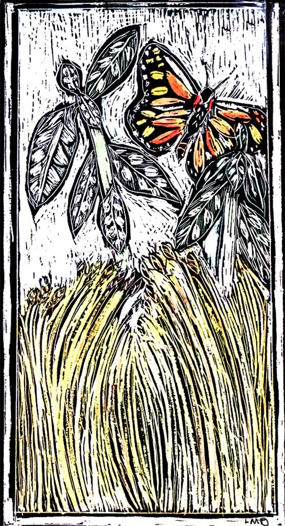 Milkweed-1