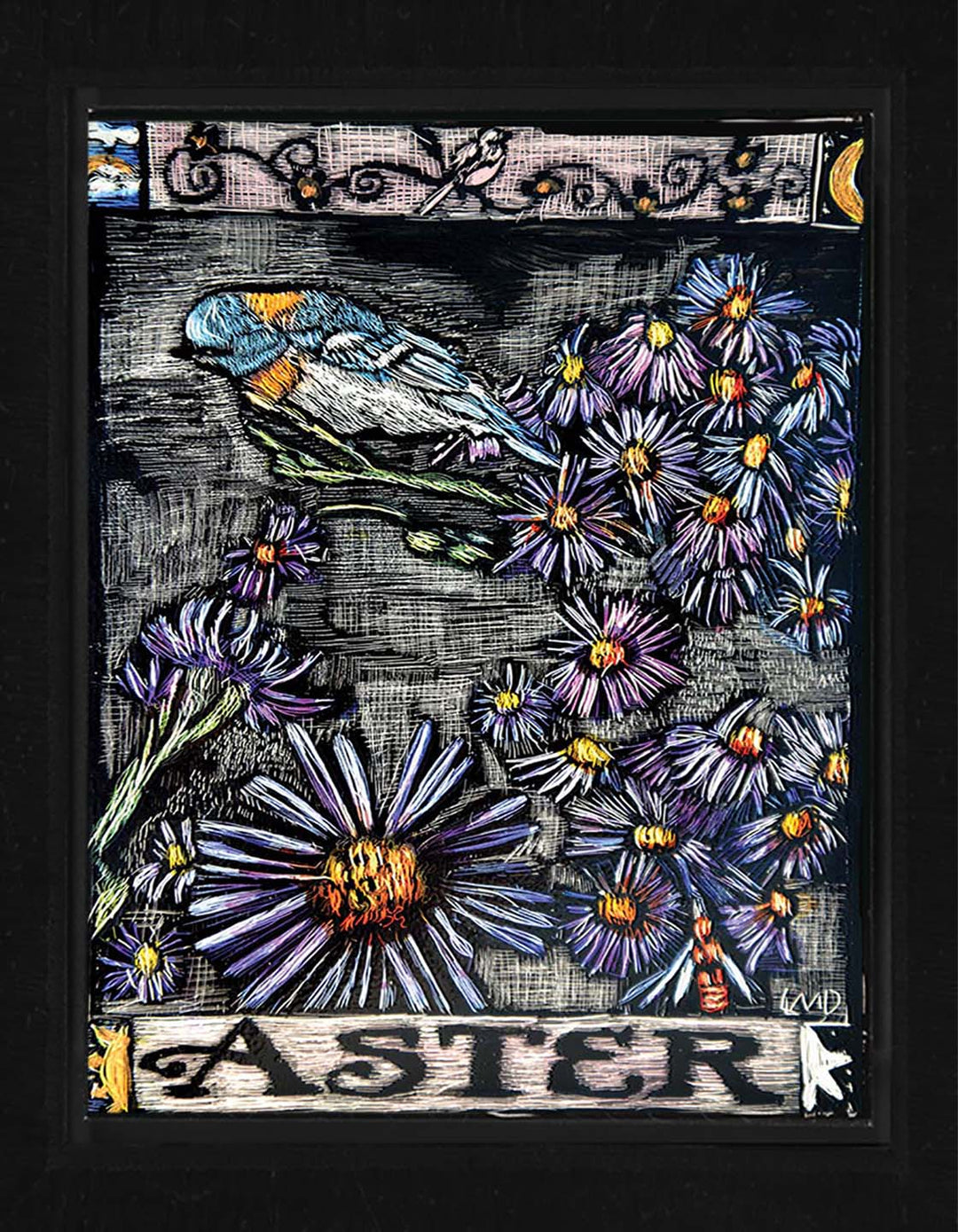Aster