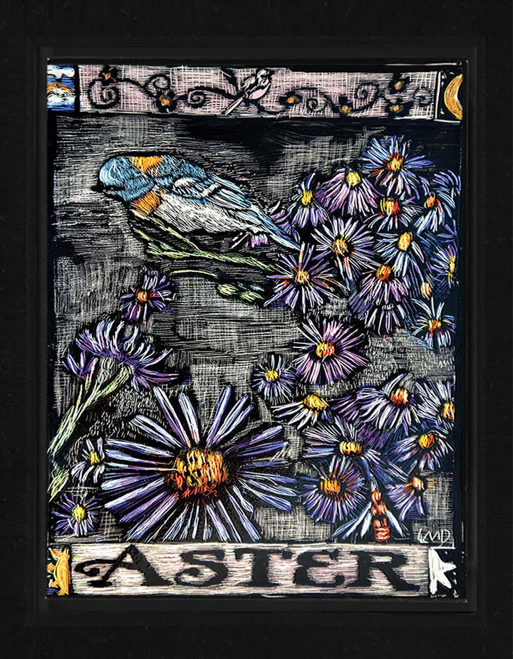 Aster