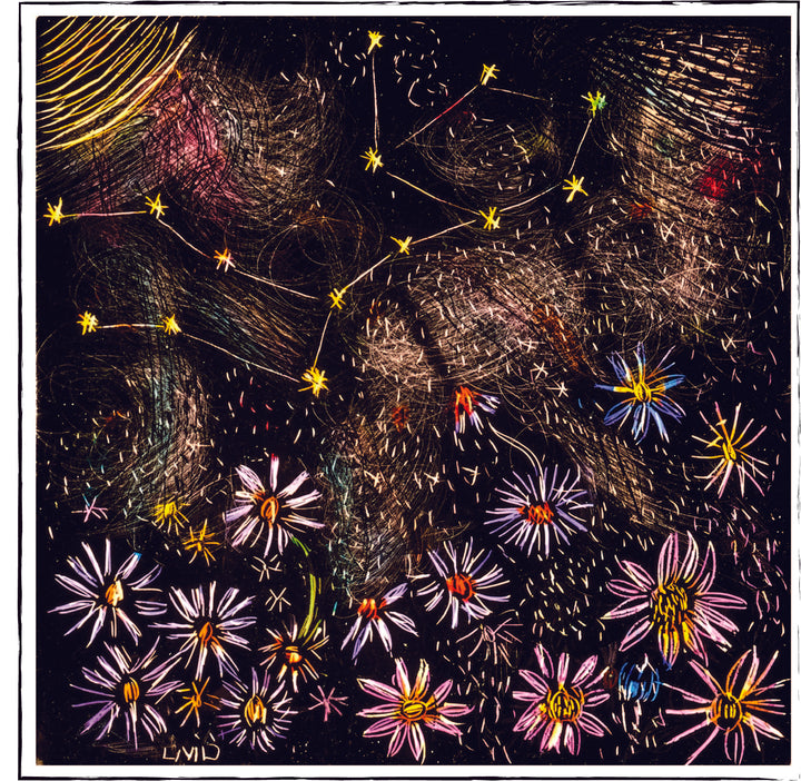 Virgo creates Asters.