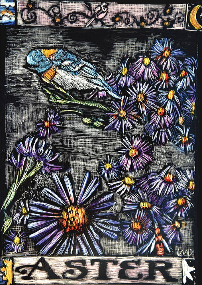 Aster