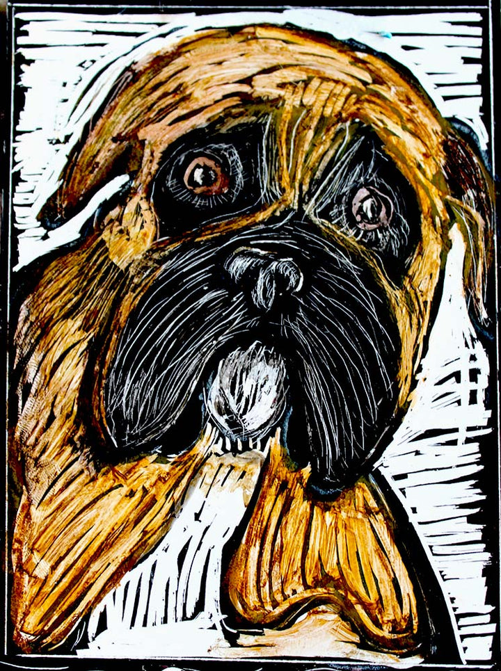 Boxer