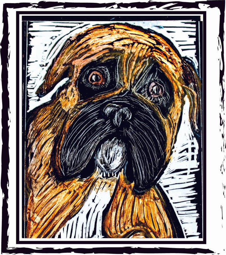 Boxer