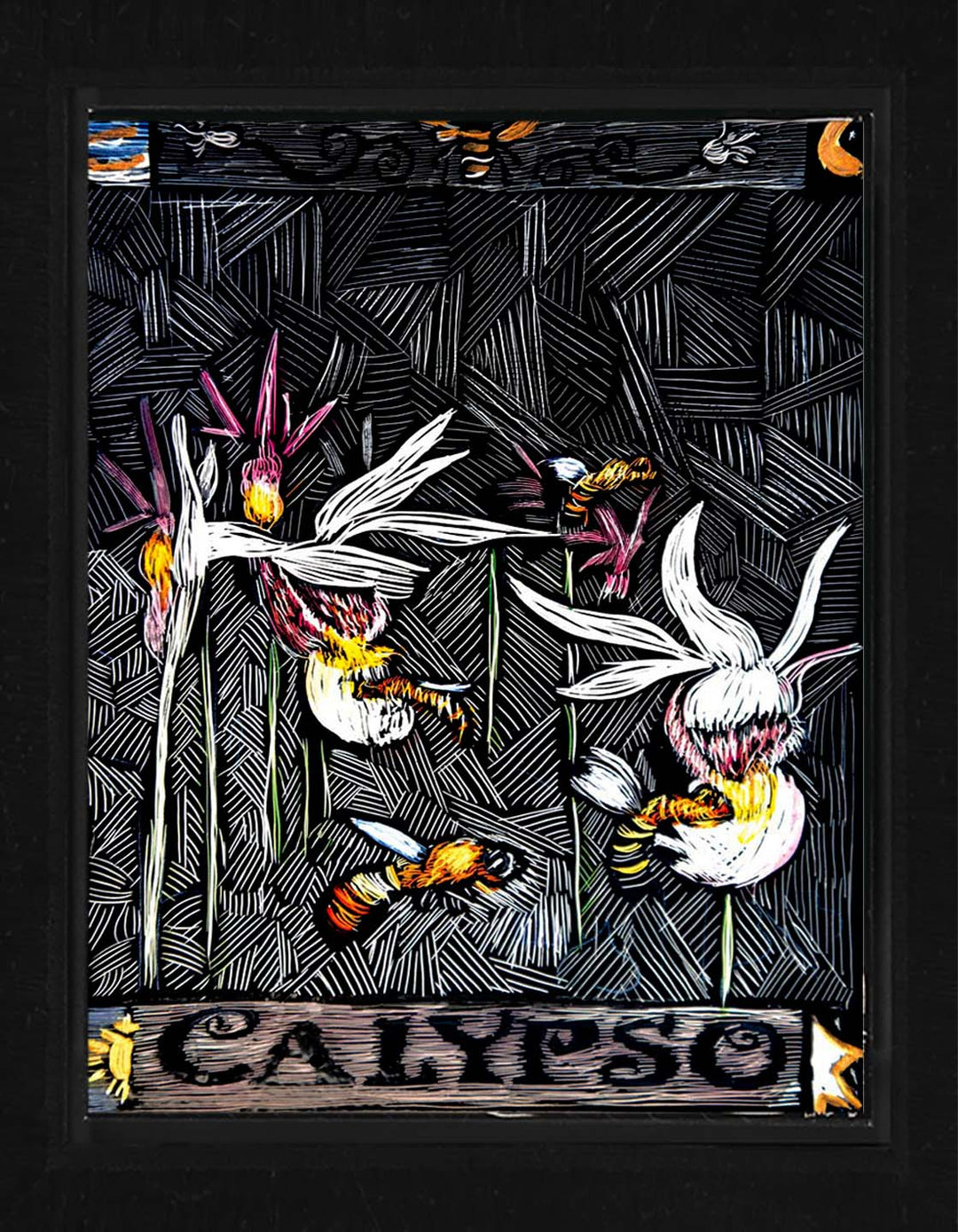 Calyso