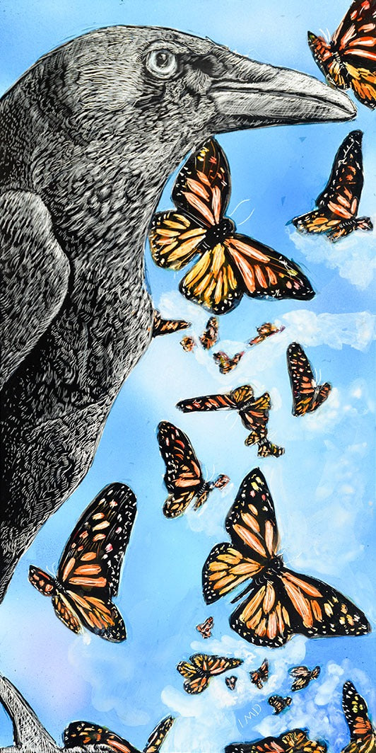 Papilionoidea