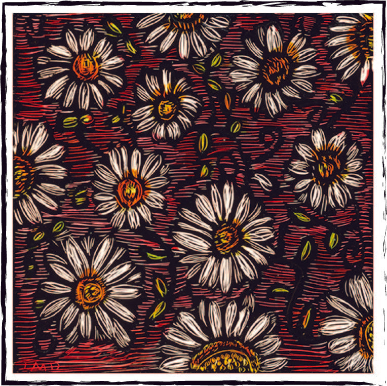 It's Spring when we can walk upon 12 daisies.