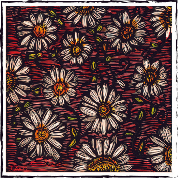 It's Spring when we can walk upon 12 daisies.