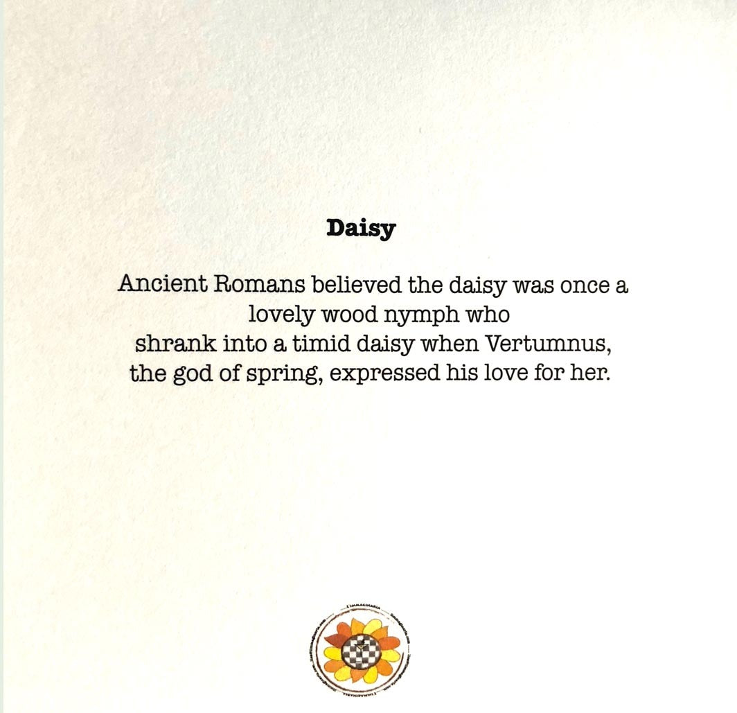Daisy