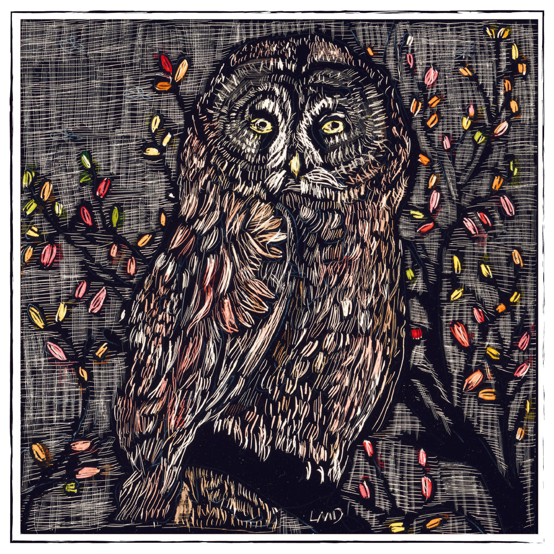 Fall Owl
