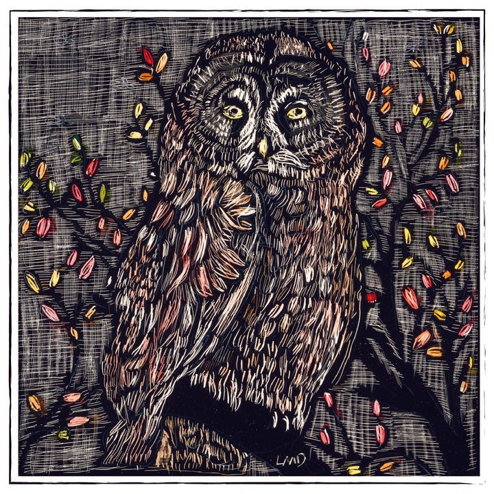 Fall Owl