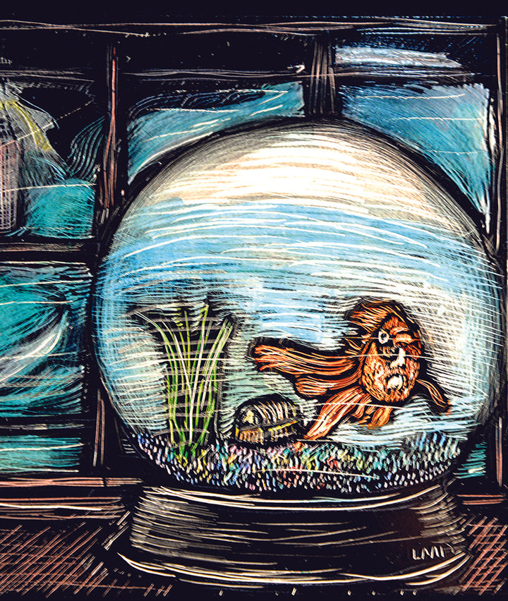 Waves in a Fish bowl-card