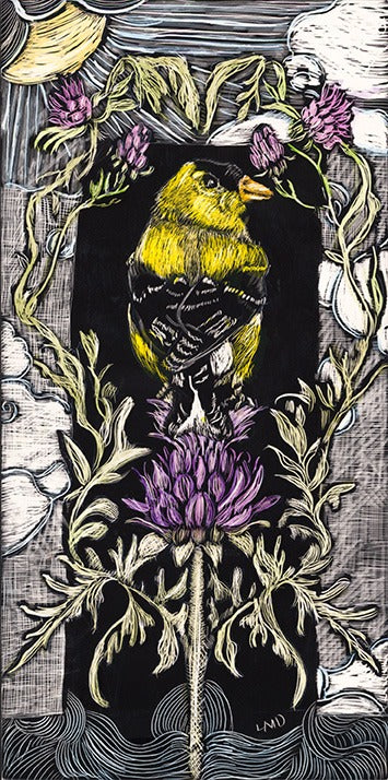 Golden Finch