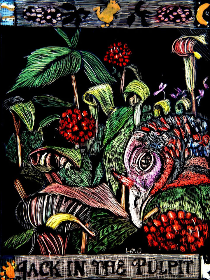 Jack-in-the-pulpit