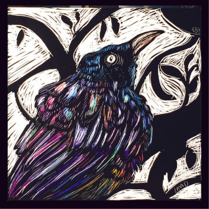 Corvus in Mauve